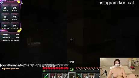 Kor_Cat — Stripchat recorded stream image, 02.06.2025 13:10
