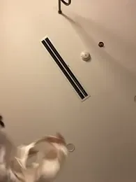 MEOW_MEO — Stripchat recorded stream image, 05.06.2025 15:30