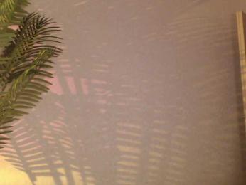 Maribett — Bongacams recorded stream image, 06.06.2025 21:40