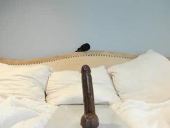 eatmygingersnapps — Chaturbate recorded stream image, 11.06.2025 14:40