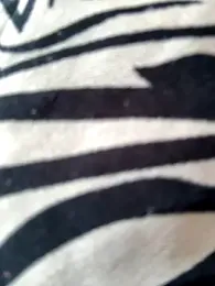 AngelinaTeller — Stripchat recorded stream image, 29.06.2025 01:30