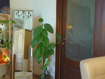 eli_sun — Chaturbate recorded stream image, 02.07.2025 08:50