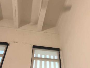 violet6xft — Bongacams recorded stream screenshot (11 Feb 2025)