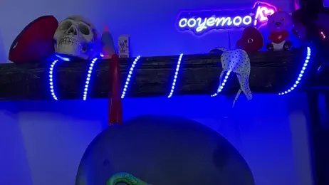 coyemoo — Stripchat recorded stream image, 11.02.2025 18:00