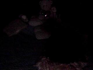 Tanya Hanks — Flirt4free recorded stream image, 04.07.2025 20:30