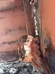 CrazzyChicks — Stripchat recorded stream image, 16.07.2025 06:20