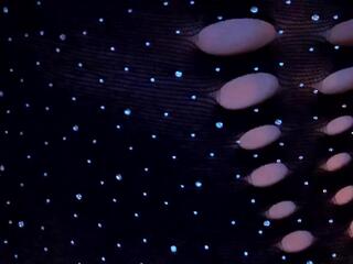 Isa Raven — Flirt4free recorded stream image, 18.07.2025 10:20