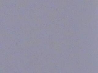 Tanya Hanks — Flirt4free recorded stream image, 21.07.2025 20:40