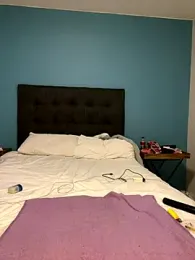 InkLady444 — Stripchat recorded stream image, 31.07.2025 06:20