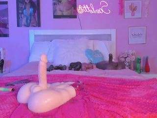 scarlett-harper — Camsoda recorded stream image, 07.08.2025 05:00