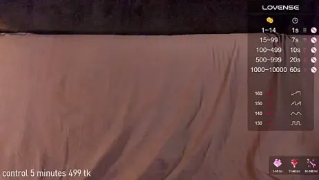 VickiRoom — Stripchat recorded stream image, 07.08.2025 22:30