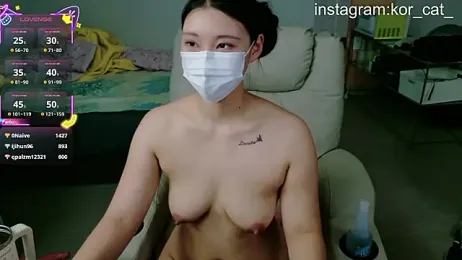 Kor_Cat — Stripchat recorded stream image, 08.08.2025 02:00
