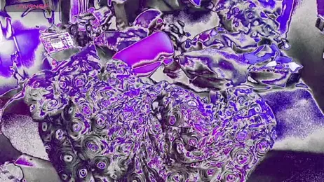 bukkakebae1 — Stripchat recorded stream screenshot (12 Aug 2025)