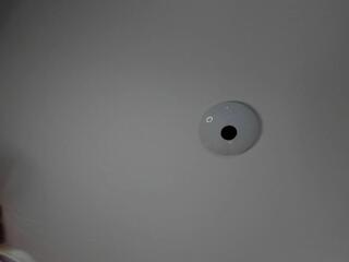 Mia Meowy — Flirt4free recorded stream image, 17.08.2025 11:00