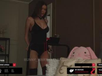 bunny_marthy — Chaturbate recorded stream image, 20.08.2025 16:00