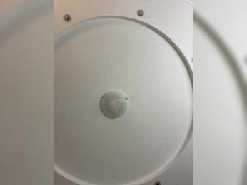 VICTORIA_ — Bongacams recorded stream screenshot (27 Aug 2025)