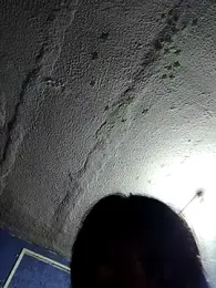 kiittyselenita — Stripchat recorded stream screenshot (28 Aug 2025)