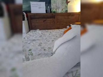 LittleDelora — Bongacams recorded stream screenshot (29 Aug 2025)