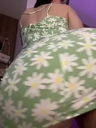 Megan_lu2 — Stripchat recorded stream image, 15.02.2025 02:50