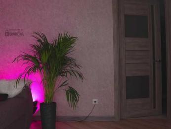 misstics_ — Bongacams recorded stream image, 04.09.2025 23:30
