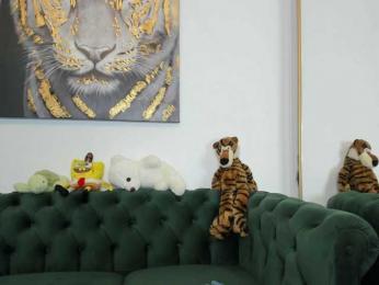 AnnaKarin — Bongacams recorded stream image, 19.09.2025 18:40