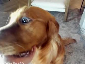 x_lily_x — Chaturbate recorded stream screenshot (18 Feb 2025)