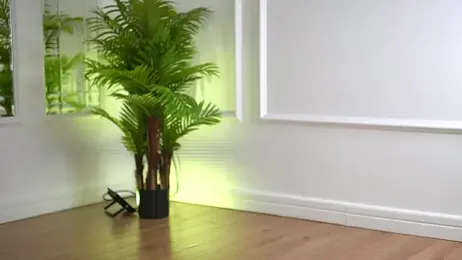 Cherrysweett — Stripchat recorded stream screenshot (11 Oct 2025)