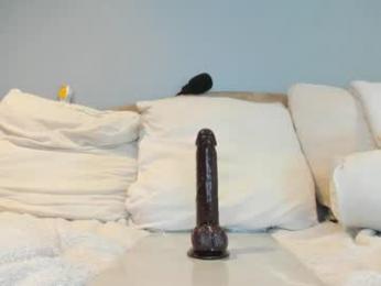 eatmygingersnapps — Chaturbate recorded stream image, 14.10.2025 15:00