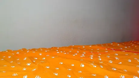 Just_alice — Stripchat recorded stream image, 16.10.2025 17:00