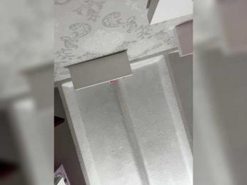 SallyeLeins — Bongacams recorded stream image, 20.02.2025 21:00