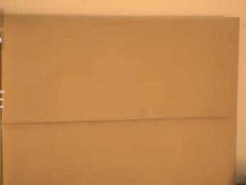 vivid_girls — Chaturbate recorded stream image, 25.10.2025 07:10