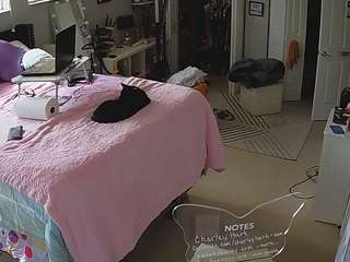 voyeurcam-house-charleys-room — Camsoda recorded stream image, 15.02.2025 10:20
