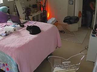voyeurcam-house-charleys-room — Camsoda recorded stream image, 15.02.2025 10:20