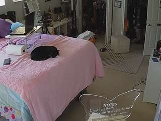 voyeurcam-house-charleys-room — Camsoda recorded stream image, 15.02.2025 10:20