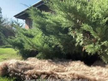 patry333 — Chaturbate recorded stream screenshot (29 Oct 2025)