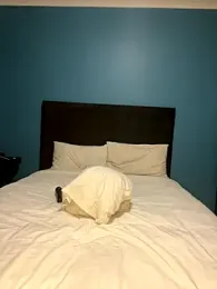 InkLady444 — Stripchat recorded stream image, 31.10.2025 17:10