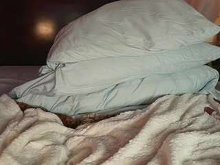 katyerave — Camsoda recorded stream image, 05.11.2025 20:10