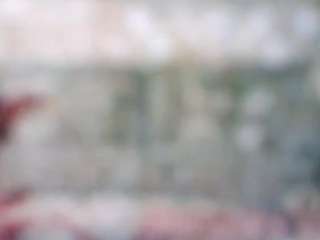 stalliontheesavage — Camsoda recorded stream screenshot (06 Nov 2025)