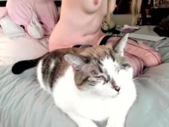 eve003300 — Chaturbate recorded stream image, 12.11.2025 00:00