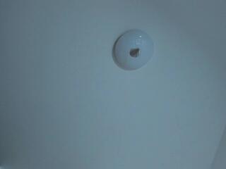 Mia Meowy — Flirt4free recorded stream image, 12.11.2025 12:30