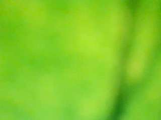 stalliontheesavage — Camsoda recorded stream screenshot (15 Nov 2025)