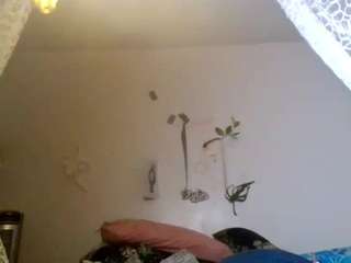 stalliontheesavage — Camsoda recorded stream screenshot (15 Nov 2025)