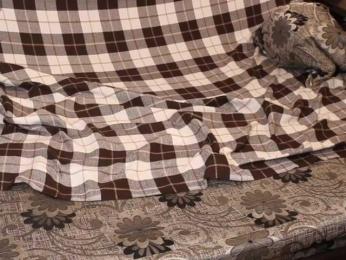 _Sunshine_ — Bongacams recorded stream screenshot (18 Nov 2025)