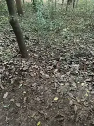 pimange34 — Stripchat recorded stream image, 22.11.2025 08:00