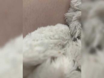 CuteKitty00 — Bongacams recorded stream image, 26.11.2025 22:40