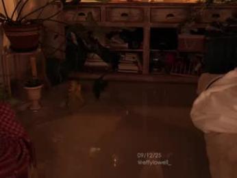 effylowell_ — Chaturbate recorded stream image, 10.12.2025 01:50