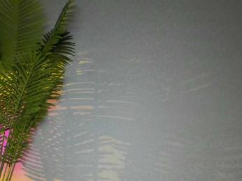 Maribett — Bongacams recorded stream image, 12.12.2025 04:00