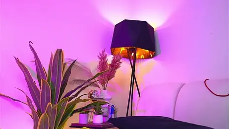 EngelCoyner — Stripchat recorded stream image, 23.12.2025 09:30