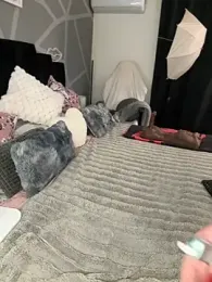 krysstal003 — Stripchat recorded stream screenshot (25 Dec 2025)