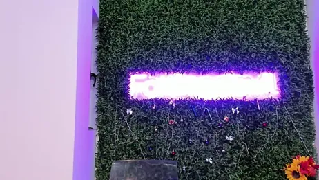 realhotfallingdevil — Stripchat recorded stream screenshot (29 Dec 2025)